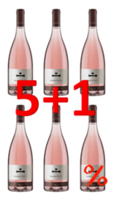 Capoforte Negroamaro Rosato 5+1 2022 750ml