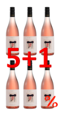 Bodegas Care Rosé Solidarity 2023 5+1 750ml