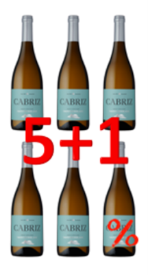 Cabriz Sauvignon Blanc 2023 5+1 750ml