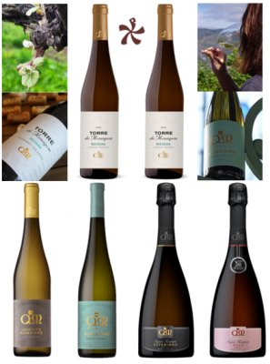 Quintas de Moncao e Melgaco Tasting Set 1