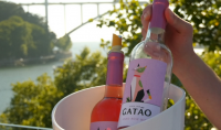 Gatao Rose 750ml