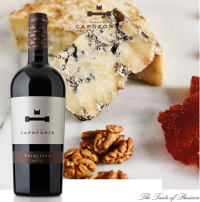 Capoforte Primitivo Rotwein Magnum 2017 1,5l