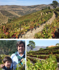 Oboe Som de Barrica Rotwein 2019 750ml