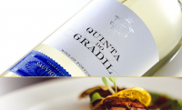 Quinta do Gradil Sauvignon Blanc & Arinto 2018 750ml