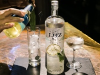 Marzadro Gin Luz Lago di Garda 70cl